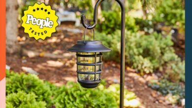 Photo of Discover the Top 10 Outdoor Solar Lights of 2024: Tested and Reviewed
