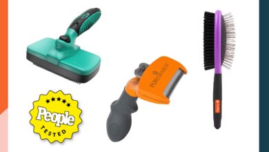 Photo of The 11 Best Dog Brushes of 2024: Reviews and Comparisons for Grooming Your Pet